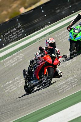 media/Oct-25-2025-2WTD (Sat) [[1e4a1f2fa2]]/B Group/Session 5 (Turn 2)/